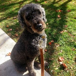 Meet your Posher, Nikki